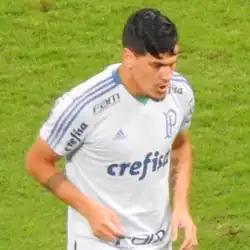 V dresu Palmeiras