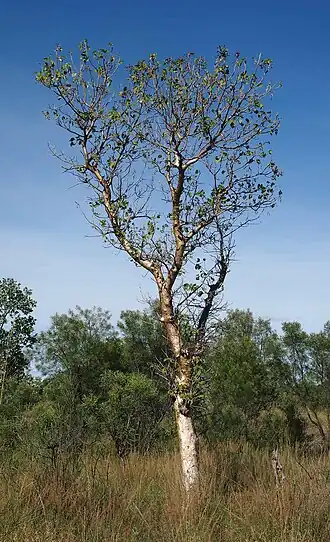 alternativní popis obrázku chybí