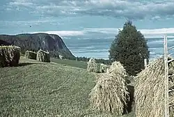 Håkafot, 1939