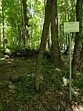 hřbitov