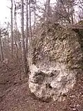 Hřebenatkový útes