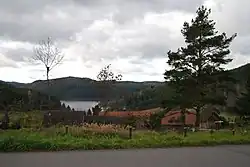 Hřebeny
