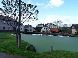 Návesní rybník