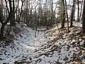 Příkop na hradišti