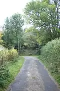 Cesta