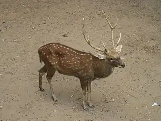 alternativní popis obrázku chybí