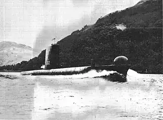 HMS Rorqual (S 02)