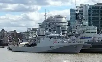 HMS Tamar (P233)