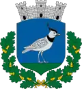 Nagybajom – znak