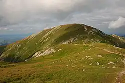 Malolučniak od Kresanice