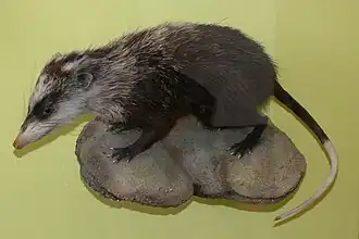 alternativní popis obrázku chybí