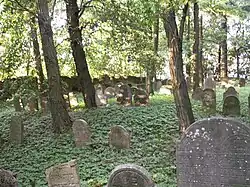 Židovský hřbitov