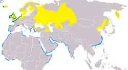 Rozšíření ústřičníka velkého. Žlutá = pouze v létě, modrá = pouze v zimě, zelená = všechna roční období