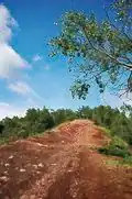 Halda Ema