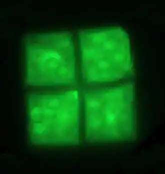 alternativní popis obrázku chybí