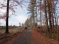 Zlodějská stezka na svahu Hraničního vrchu