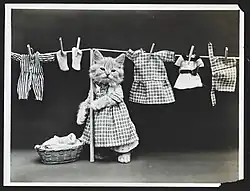 Hanging up the wash