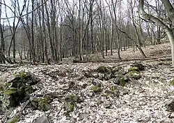 Zbytky domů