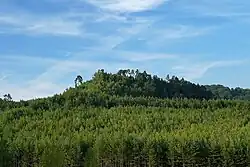 Havířský vrch od jihozápadu