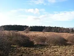 Celkový pohled