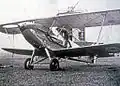 Audax