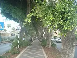 Třída Sderot ha-Cijonut v Kirjat Ata