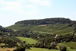 Wartberg u Heilbronnu z Weinsbergu