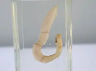 alternativní popis obrázku chybí
