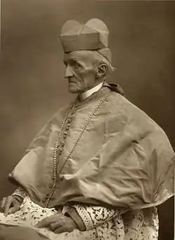 Henry Edward Manning, 1880–1890