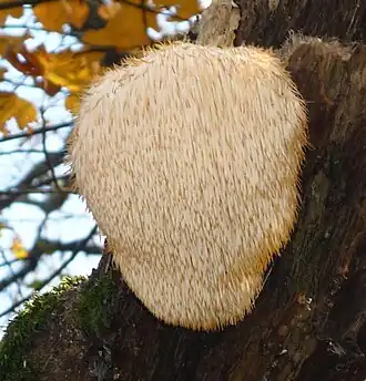 alternativní popis obrázku chybí