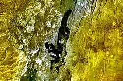 Hertali na snímku družice Landsat 7