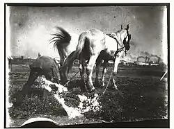 Het ploegen van een veld door paarden