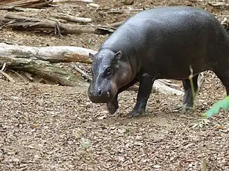 alternativní popis obrázku chybí