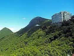 Pohled na Victoria Peak