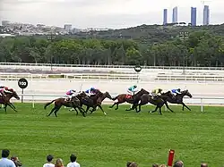 Hipódromo de la Zarzuela