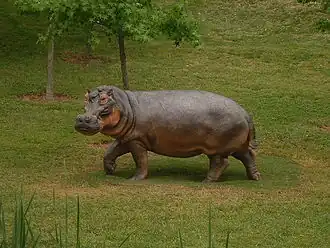 alternativní popis obrázku chybí