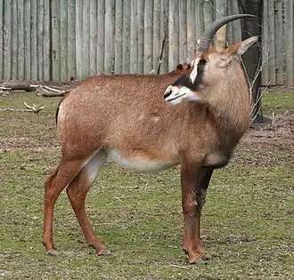 alternativní popis obrázku chybí