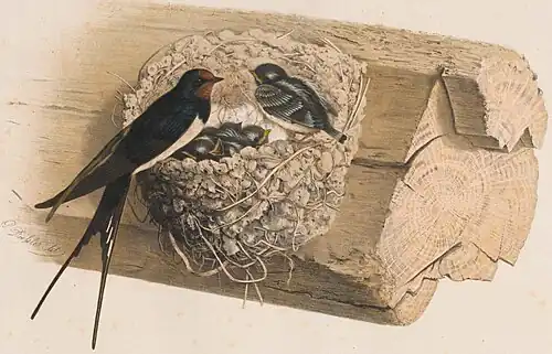 1868