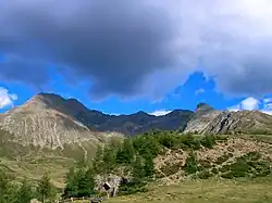 Hirzer vlevo