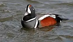alternativní popis obrázku chybí