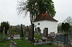 Hlasivská lípa