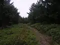 na vrcholu Hleďsebe