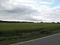 Pole