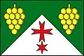 Vlajka obce Hodonice