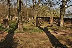 Hoješín_židovský_hřbitov.JPG
