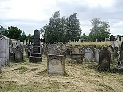 Židovský hřbitov