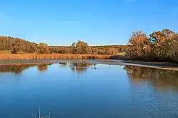 Holský rybník u Kopidlna