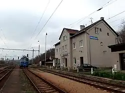 Holubice