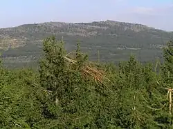 Holubník z Olivetské hory (886 m)