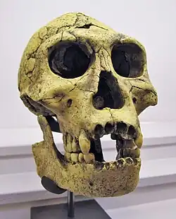 alternativní popis obrázku chybí